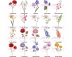 Quadretto con fiore del mese di nascita 21x30 13x18 Nome e Fiore del mese quadretto idea regalo compleanno poster ricordo con cornice o senza